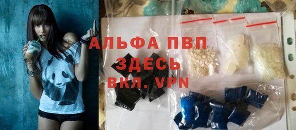 прущие грибы Нея