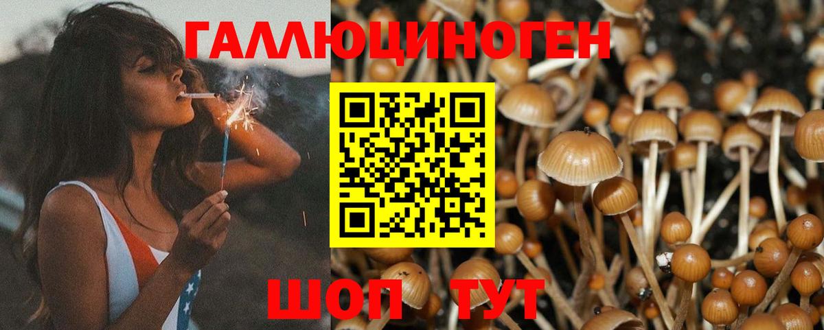 Галлюциногенные грибы MAGIC MUSHROOMS  Санкт-Петербург 