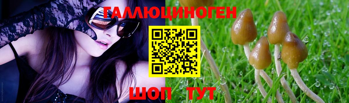 Псилоцибиновые грибы Magic Shrooms Санкт-Петербург