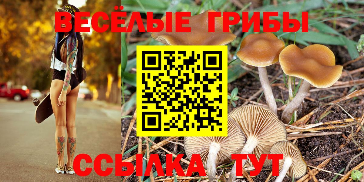 Санкт-Петербург  Галлюциногенные грибы Magic Shrooms  Вход с VPN  Галлюциногенные грибы Psilocybe 
